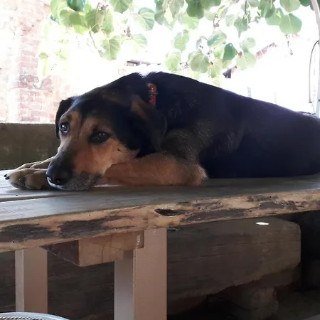 Bed & Breakfast Pocoburro Ca' D'arte 3*