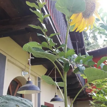 Pocoburro Ca' D'arte Bed and Breakfast 3*