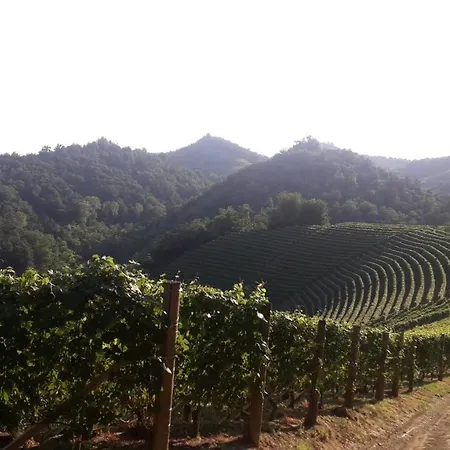 Pocoburro Ca' D'arte